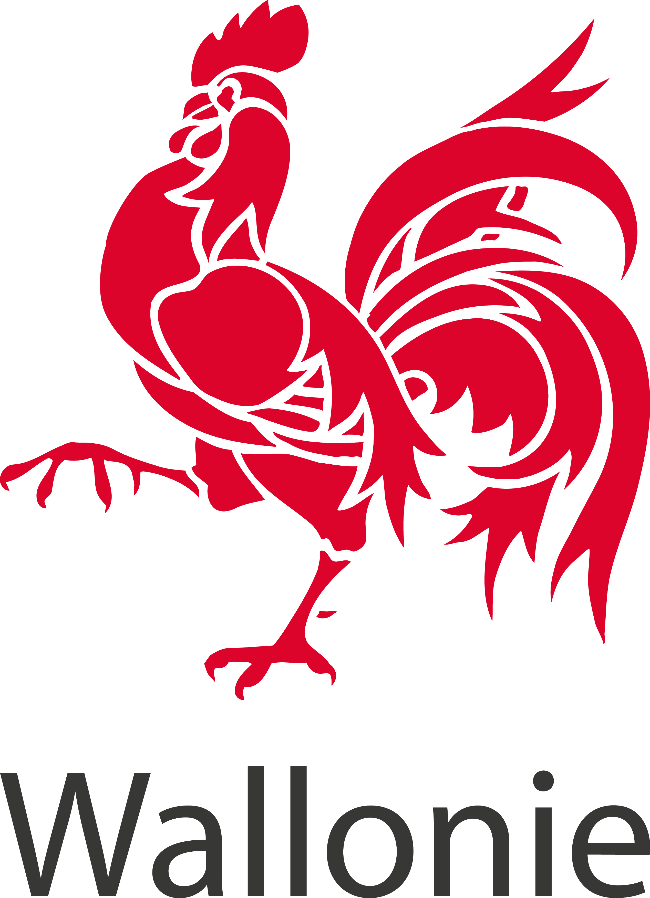 Logo - Region Wallonne